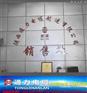 WDZ低烟无卤控制电缆、武功县控制电缆、