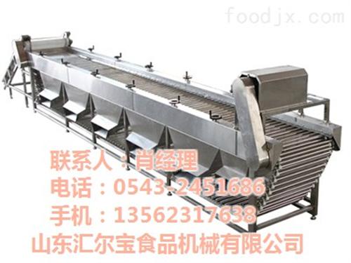 广东大枣加工设备_汇尔宝_大枣加工设备厂&nbsp;&nbsp;大枣加工设备厂家&nbsp;&nbsp;大枣加工设备价格&nbsp;&nbsp;大枣加工设备图片