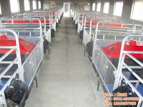 养猪设备_青驰源_青州养猪设备  青岛养猪设备群  养猪设备项目