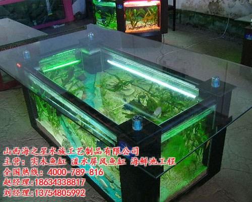 别墅鱼缸订做_鱼缸订做_海之星水族公司(  生态鱼缸订做  鱼缸订做价格