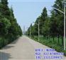 延安led太阳能路灯|恒利达路灯厂|le