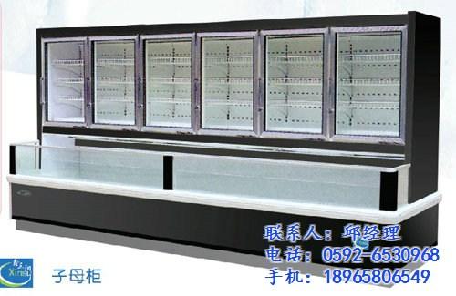 冷柜|福建冷柜|厦门鑫三阳(图)  家用冷柜  商用冷柜