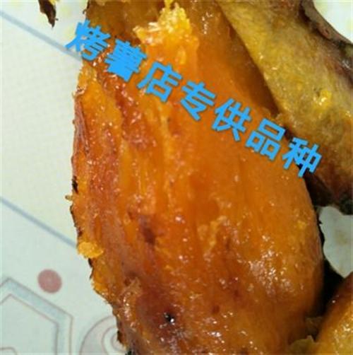 禾田薯业|烟薯25|烟薯25价格&nbsp;&nbsp;烟薯25行情&nbsp;&nbsp;烟薯25烤薯店供