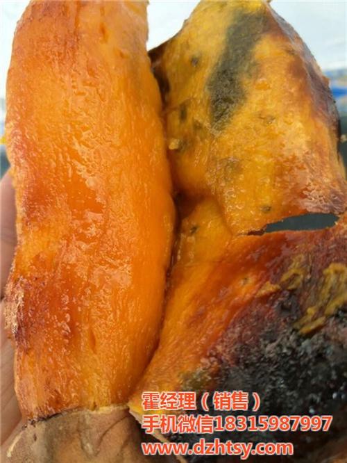 烟薯25甜吗_烟薯25_禾田薯业(多图) 烟薯25特性 烟薯25批发