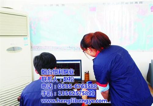 德州双吸流程泵,烟台恒利泵业,双吸流程泵  水利灌溉双吸流程  双吸流程泵价格  热电厂双吸流程泵