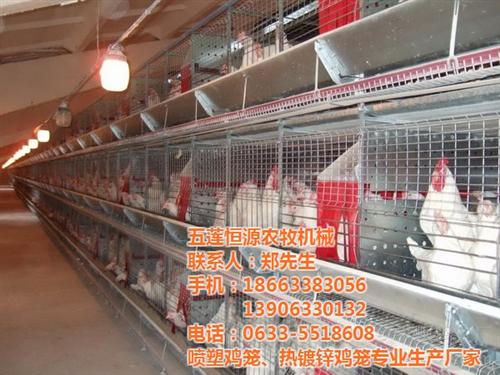 养鸡笼具批发_曲阜养鸡笼具_恒源鸡笼(图 公鸡养鸡笼具 养鸡笼具采购