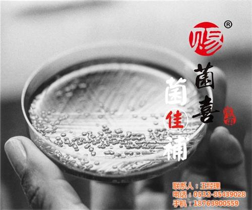 微生物菌剂菌佳補、菌佳補、苏菲格耳国际贸  菌佳補肥料  台湾翔云菌佳補