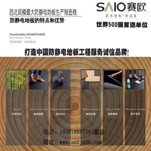 网络地板品牌_山西网络地板_赛欧防静电地&nbsp;&nbsp;陶瓷网络地板&nbsp;&nbsp;oa网络地板