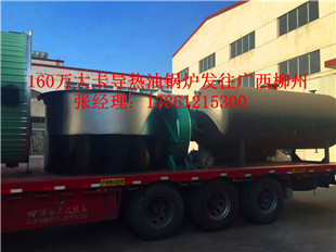 常州红星导热油锅炉&专业生产油气两用锅炉  常州锅炉