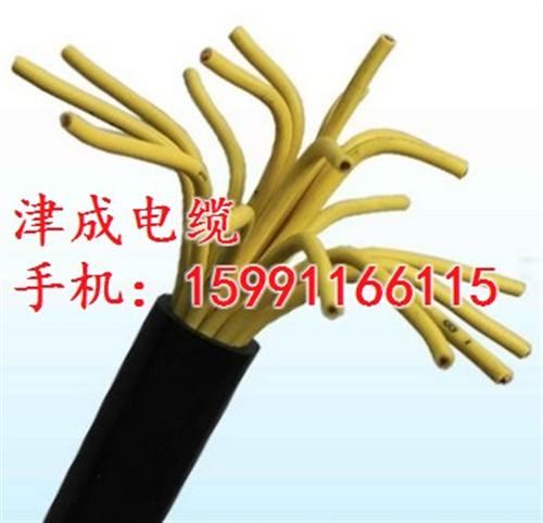 津成电缆|甘泉津成铜芯电缆|津成铜芯电缆 津成铜芯电缆价格 津成铜芯电缆专卖 津成铜芯电缆批发