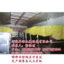 豆芽机械设备、豆芽机械、翠绿机械顶呱呱(