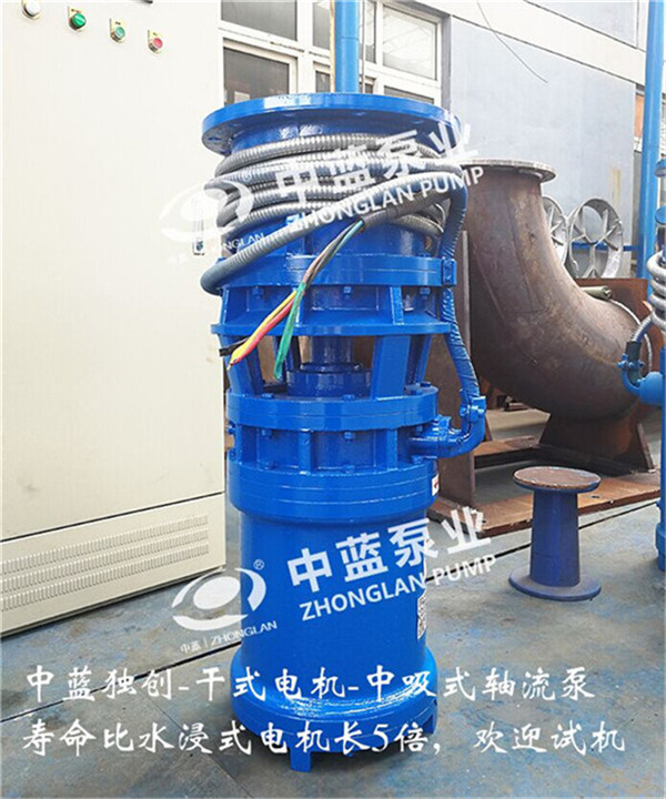 中吸式轴流泵 轴流泵潜水泵 水泵厂家现货  潜水泵厂家现货