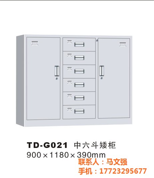 保密文件柜_文件柜_铭祖实业(查看)  文件柜图片