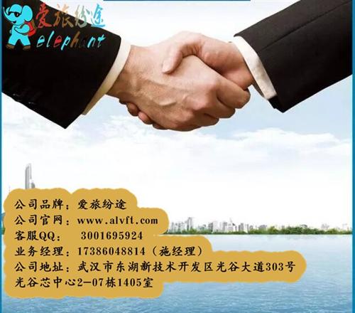 旅游代理,湖北爱旅纷途国际旅游,旅游代理  做旅游代理需要多  旅游代理怎么做  旅游代理赚钱吗