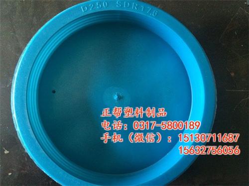 广西PE管内塞_正帮塑料制品_200-1  110-11PE  200-11PE  200-17.6