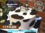 diy烘焙加盟品牌_烘焙加盟_烤富烘焙坊