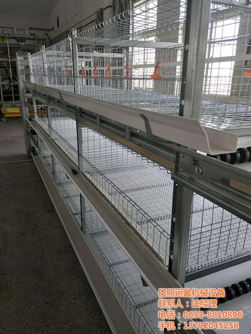 蛋鸡笼、运盈机械鸡笼生产厂家、蛋鸡笼的制  蛋鸡笼的制作  标准化蛋鸡笼  厂家直销蛋鸡笼
