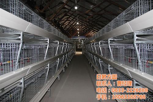 养鸭设备,方圆笼具,养鸭设备多少钱一套&nbsp;&nbsp;全自动养鸭设备&nbsp;&nbsp;自动化养鸭设备