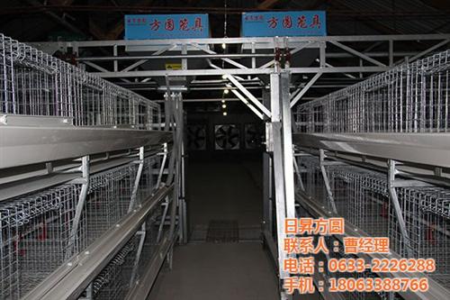 养鸭设备加工厂|养鸭设备|方圆笼具(图) 全自动养鸭设备 全自动养鸭设备价