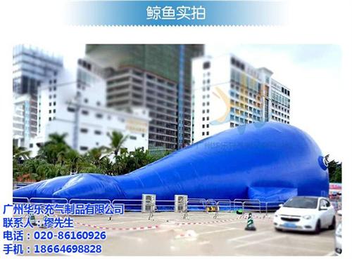 鲸鱼岛充气产品、广州鲸鱼岛、华乐气模(图  鲸鱼岛海洋球乐园  鲸鱼岛充气游乐设