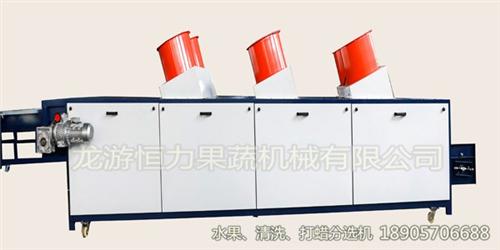 简易型清洗机,水果清洗机,恒力果蔬机械诚 大型水果清洗机 水果清洗机设备价