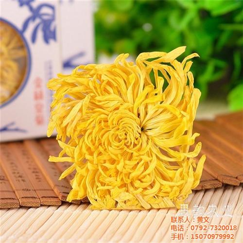 金丝皇菊花茶_北海金丝皇菊_祺冠金丝皇菊  金丝皇菊批发  金丝皇菊厂家