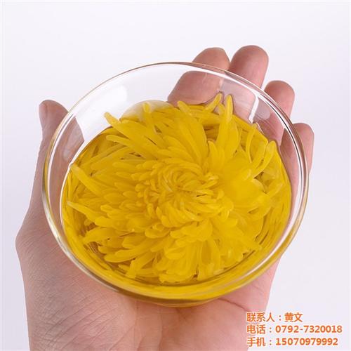 淮安金丝皇菊|祺冠金丝皇菊|金丝皇菊礼盒  金丝皇菊招商加盟  金丝皇菊产地批发
