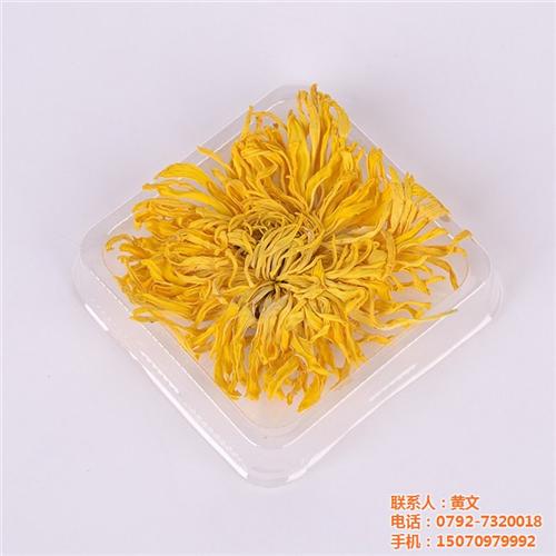 金丝皇菊批发_桂林金丝皇菊_祺冠金丝皇菊  金丝皇菊价格  金丝皇菊哪个牌子
