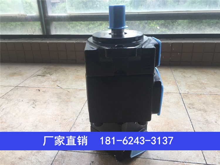高性能叶片泵YB-E160/50,价格实惠