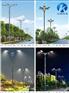 云南临沧民族特色路灯市电太阳能LED路灯
