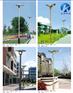 贵州余庆厂家直销3米庭院灯草坪灯道路灯