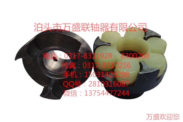 万盛MLZ系列制动轮梅花联轴器缓冲性能 弹性联轴器 泊头联轴器