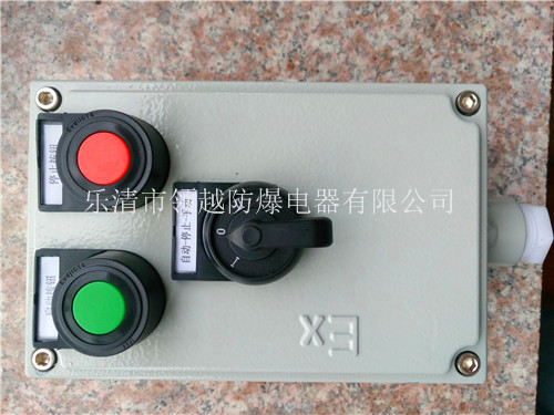 BZC51-A2启停防爆操作盒 现场防爆操作柱 防爆机旁按钮盒
