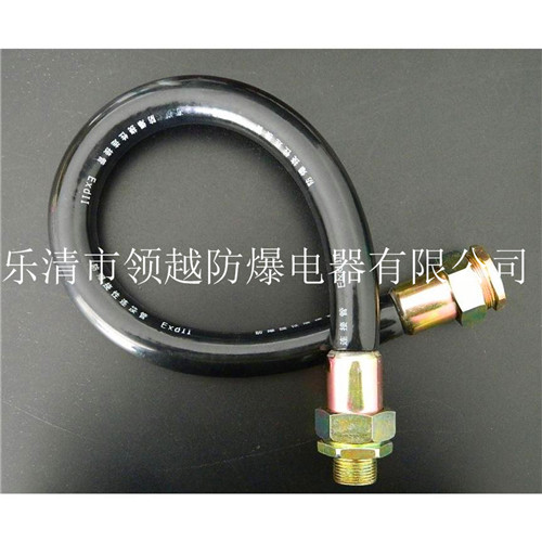 BNG-25*700橡胶防爆挠性连接管 不锈钢防爆挠性连接管 防爆软管