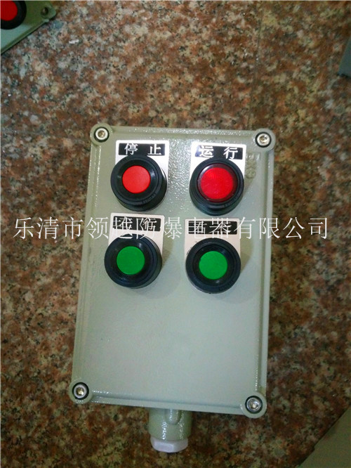 壁挂式防爆操作柱LBZ-A2D2G&nbsp;&nbsp;现场防爆操作柱&nbsp;&nbsp;就地防爆操作柱