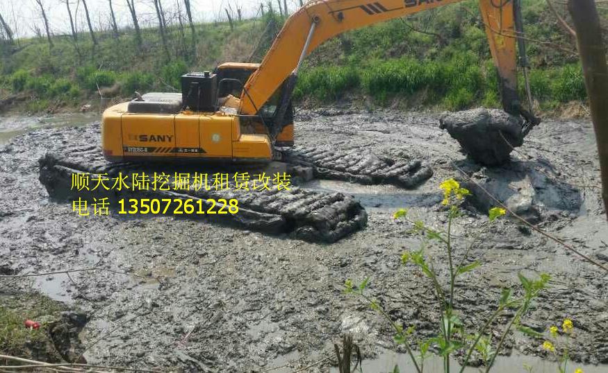 河南河南水上挖机租赁大图