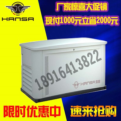 小型汽油发电机10千瓦售价
