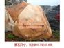 五通桥区景观石_博茂园林_园林景观石