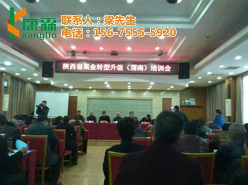 康霖现代农业_康霖苹果_哪里买康霖苹果&nbsp;&nbsp;康霖苹果礼盒价格