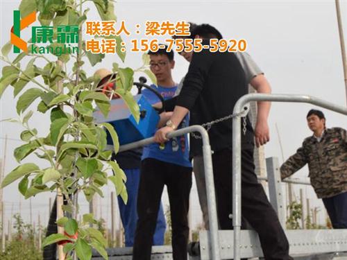 康霖苹果礼盒价格,康霖苹果,康霖现代农业&nbsp;&nbsp;康霖苹果市场价格&nbsp;&nbsp;康霖苹果多钱一斤