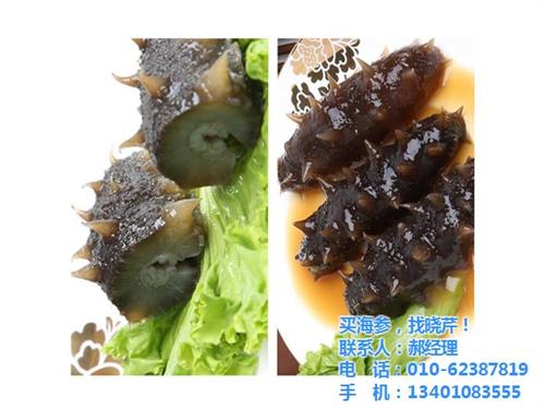 冷冻海参报价|冷冻海参|晓芹海参(多图)&nbsp;&nbsp;冷冻海参的吃法&nbsp;&nbsp;冷冻海参哪家好