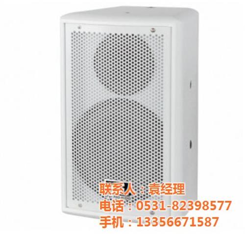 专业音响设备、音响设备、山东荷创影音技术  音响设备厂家  多功能厅音响设备