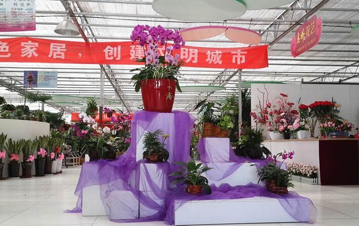 PC阳光板花卉智能连栋温室大棚造价&nbsp;&nbsp;花卉阳光板温室&nbsp;&nbsp;阳光板温室造价&nbsp;&nbsp;PC阳光板温室大棚
