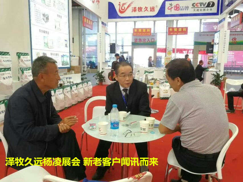 竹鼠预混料 竹鼠饲料 竹鼠添加剂 竹鼠精料