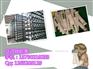 优质6倍破断吊装带|10T(吨)吊装带|5T吊装带