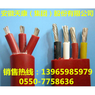 秦皇岛市硅橡胶电缆厂家供应&nbsp;&nbsp;硅橡胶电缆生产厂家&nbsp;&nbsp;硅橡胶电缆厂家直销