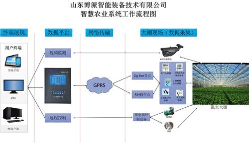温室大棚监测温湿度传感器  无线测温传感器  温湿度变送器  无线温度变送器