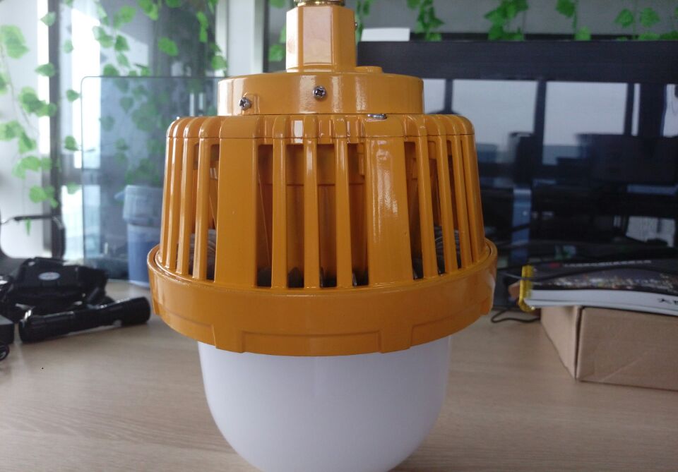 DOD616  防爆固态照明灯10W20W36w&nbsp;&nbsp;LED工厂灯&nbsp;&nbsp;LED防爆灯