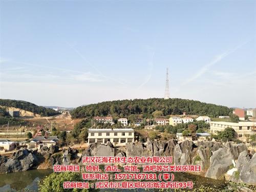 江汉区景区招商|武汉花海石林热门商机|景&nbsp;&nbsp;景区招商引资&nbsp;&nbsp;风景区招商&nbsp;&nbsp;景区招商政策