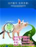蒙脱石_止泻级蒙脱石_中联蒙脱石(多图)